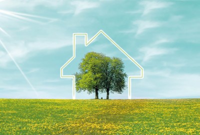 Immagine del progetto Luxury Home